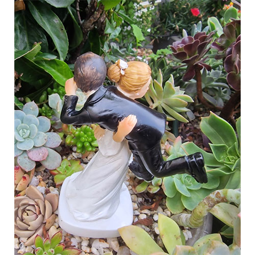 figurine-gateau-mariage-humour-viens-je-temmene-4