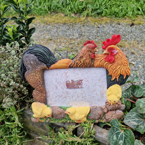 Cadre photo theme ferme agriculture coq poule poussins decoration