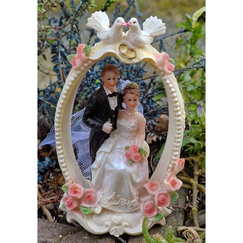 Couple de maries sous arche de roses avec colombes et alliances