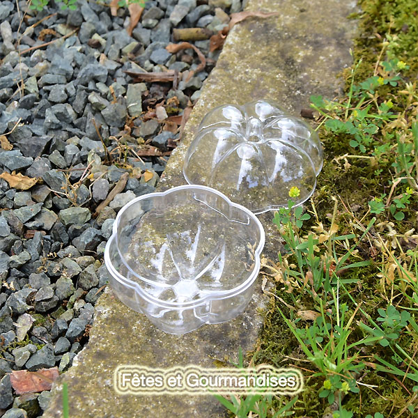 citrouille-potiron-contenant-transparent-dragees-bonbons-2