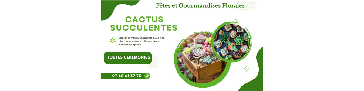 cactus et succulentes fetes et gourmandises florales