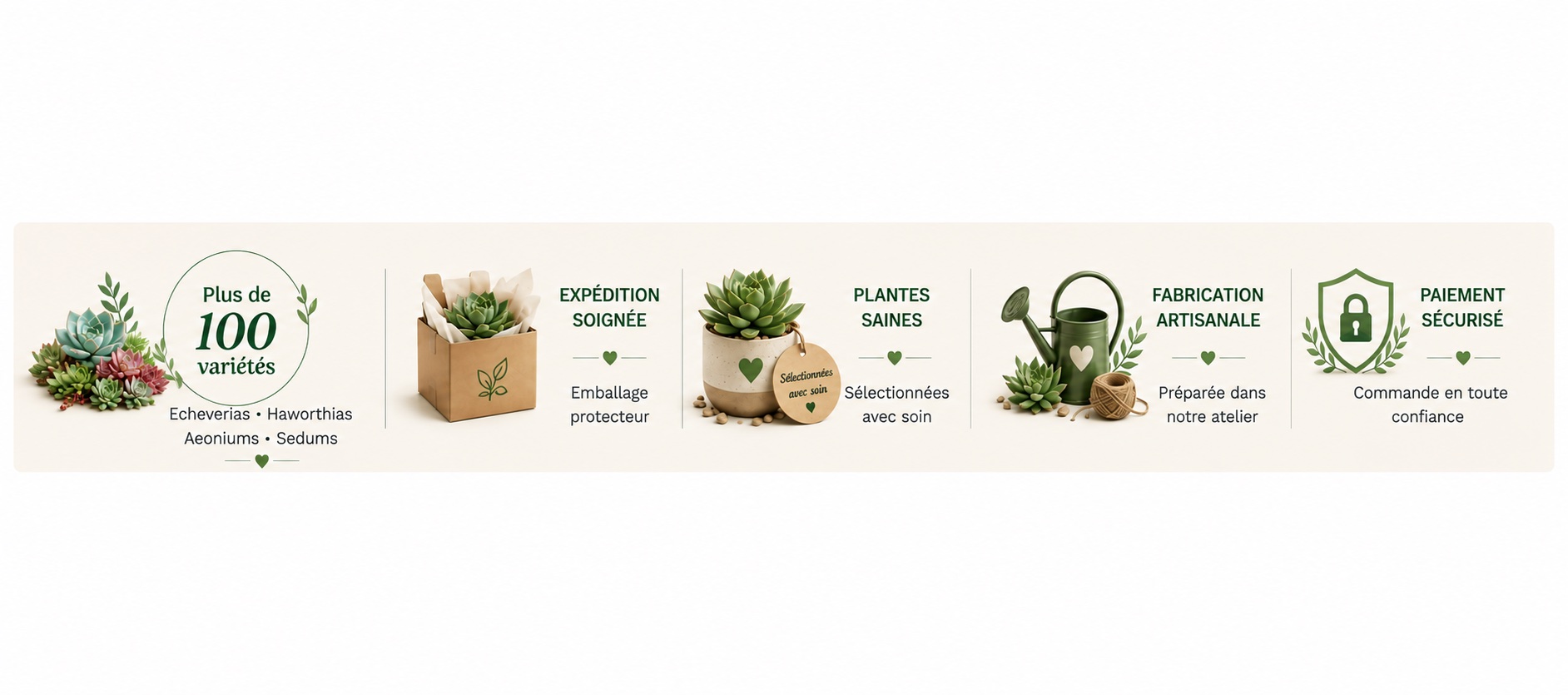 Elements de rassurance l'Atelier des Merveilles Vegetales