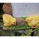 cadre-photo-ferme-coq-poule-poussins-2