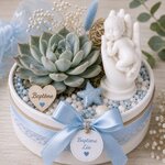 figurine bebe dans une main et succulente