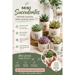 mini succulentes de qualite fetes et gourmandises florales
