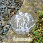 citrouille-potiron-contenant-transparent-dragees-bonbons