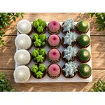 cactus fetes et gourmandises florales