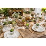 table decoree de succulentes pour un anniversaire
