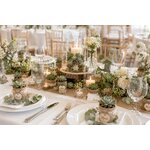 table de mariage deco naturelle et succulentes