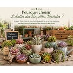 pourquoi choisir l atelier des merveilles vegetales et ses succulentes 2