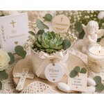mini succulente pour communion solennelle ou privee