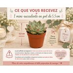 fiche information mini succulente mariage communion