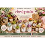 mini succulentes pour celebration anniversaire