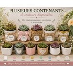 mini succulentes pot décorés pour toutes cérémonies