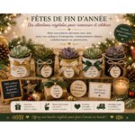 mini succulentes pour decoration de table fetes de fin dannée
