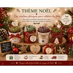 mini succulentes sur le theme de noel