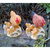 poule-avec-poussins-figurine-theme-agriculture-ferme-2