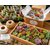 fetes et gourmandises florales boutures