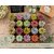 lot de 20 mini succulentes pour terrarium jardin miniature
