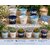 mini seau en metal decoration bapteme mariage communion succulentes