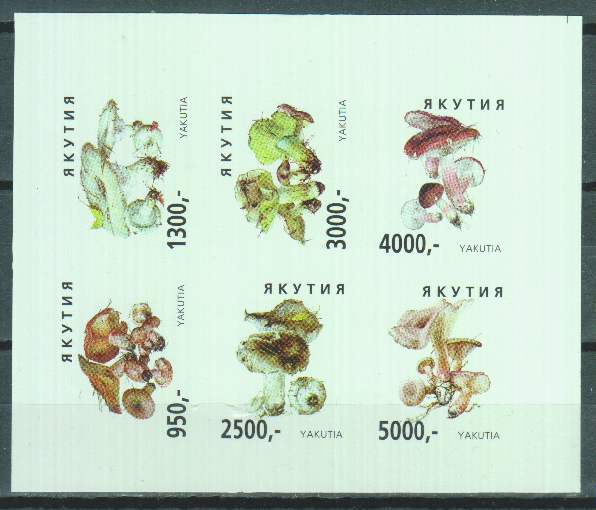Numérisation_20200602 (48)