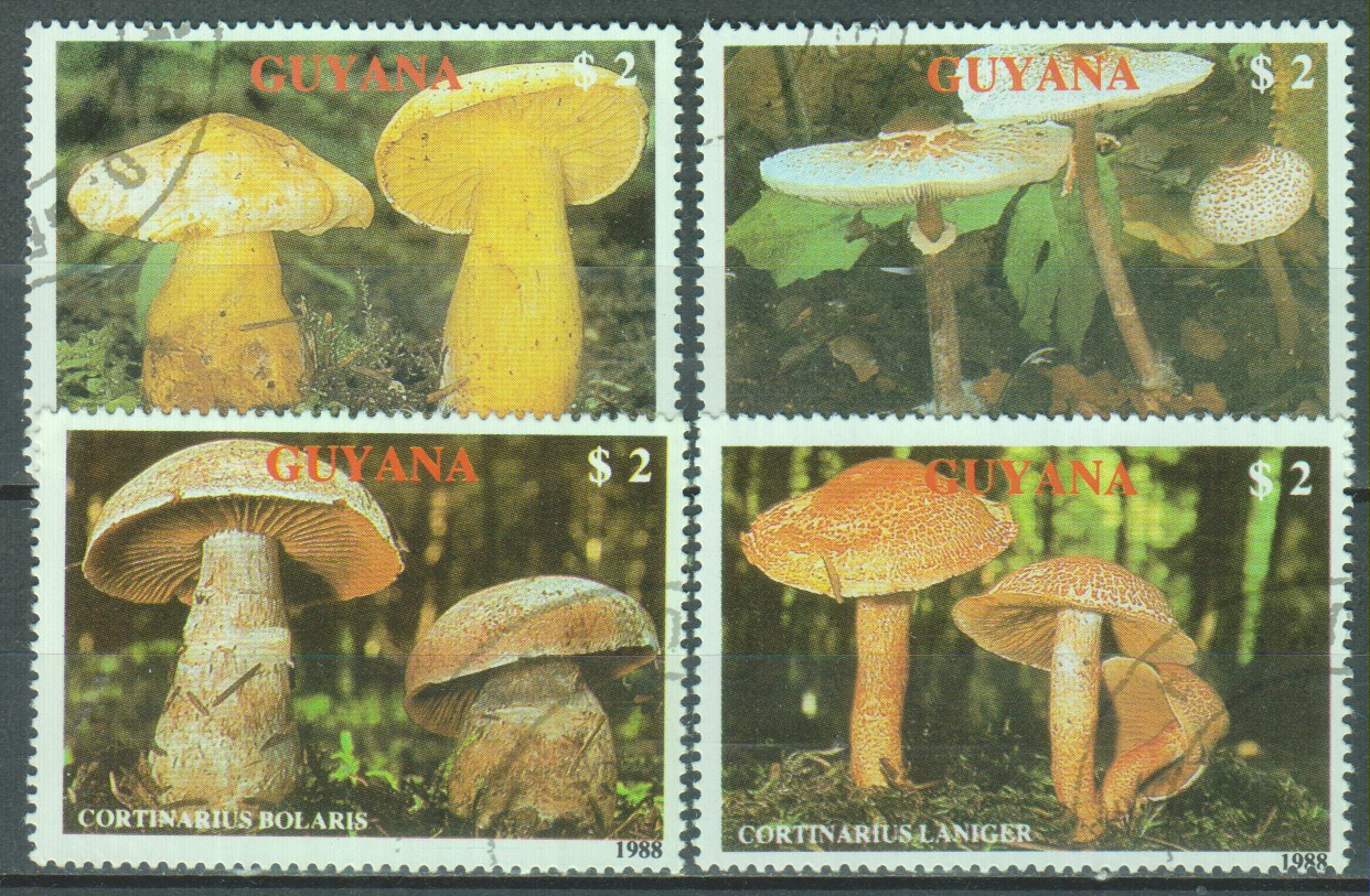 Numérisation_20200608 (17)