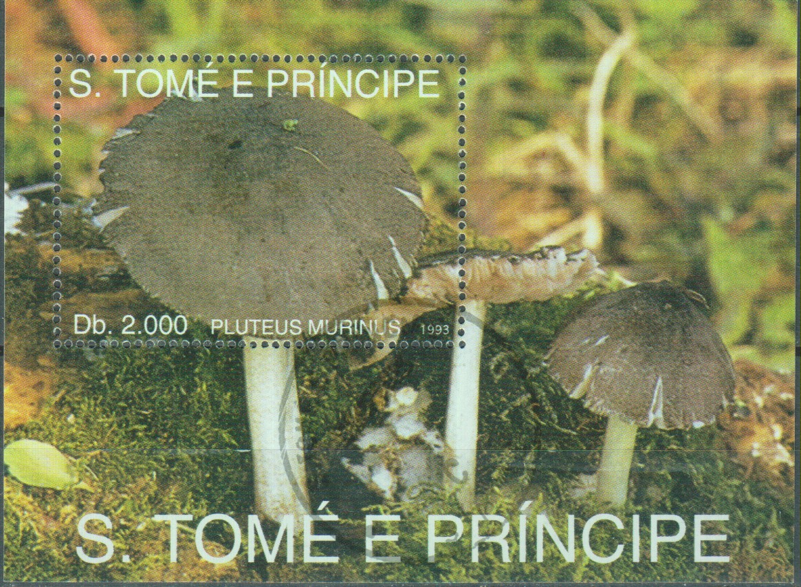 Numérisation_20200608 (11)