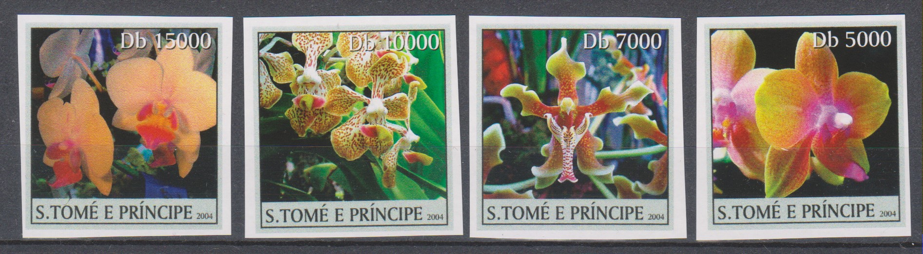 Numérisation_20200907 (19)
