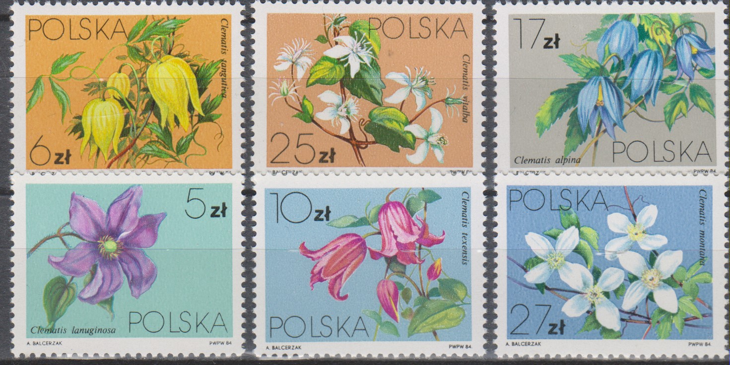 Numérisation_20201004 (17)