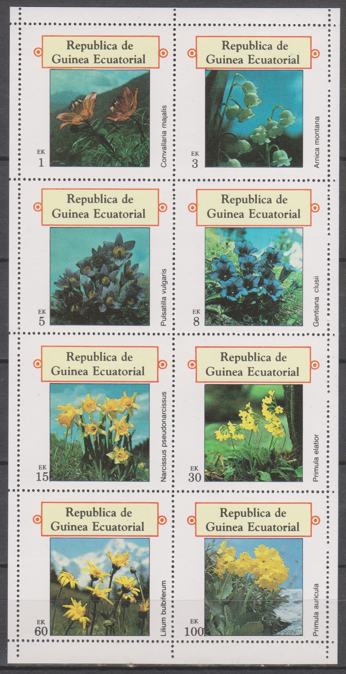 Numérisation_20201019 (15)