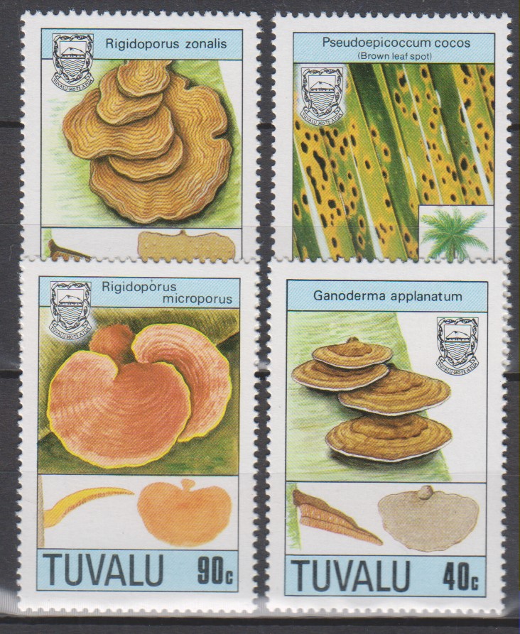 Numérisation_20201203 (136)
