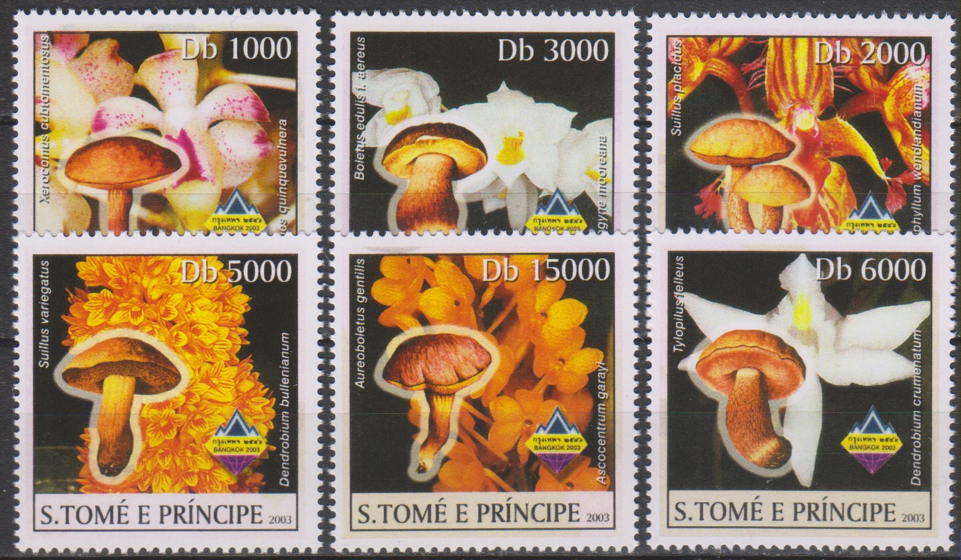 Numérisation_20210114 (65)