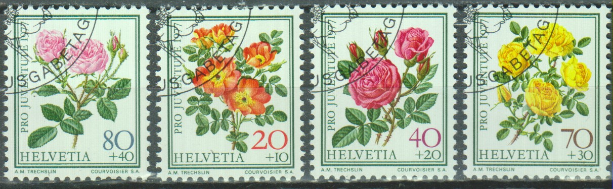 Numérisation_20210202 (50)