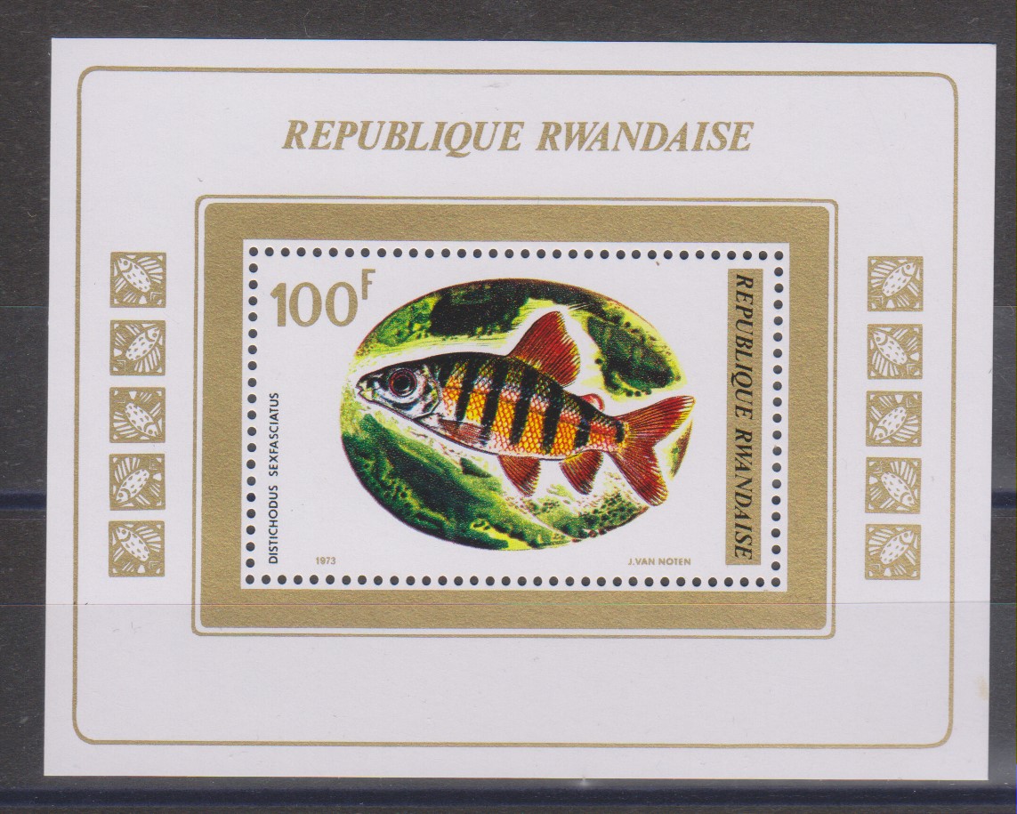 Numérisation_20210519 (58)