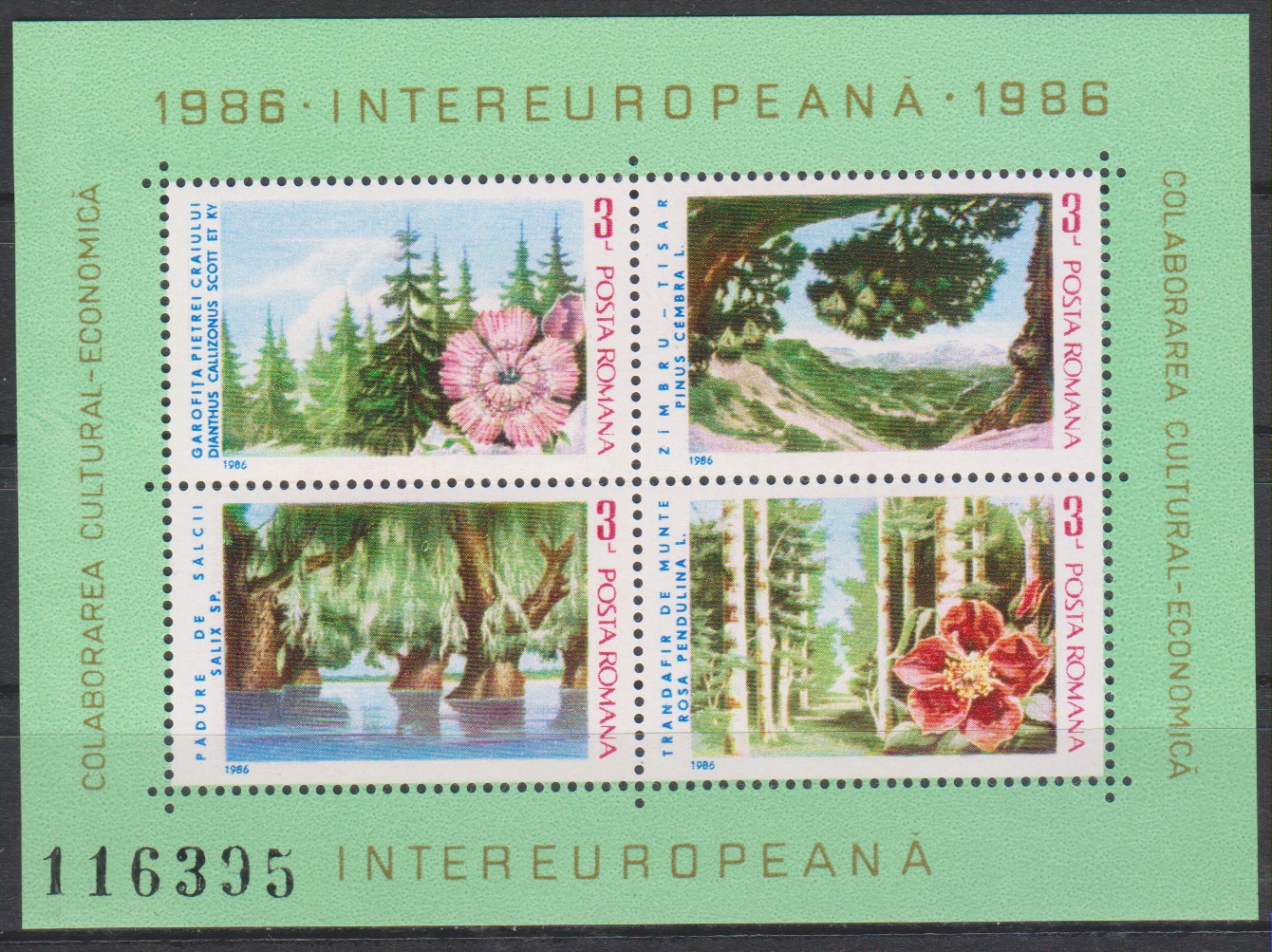 Numérisation_20210810 (40)