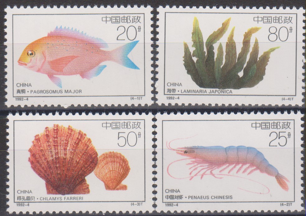 Numérisation_20210912 (4)