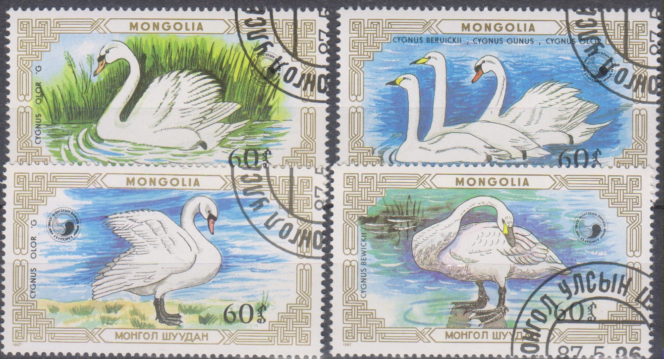 Numérisation_20220211 (8)