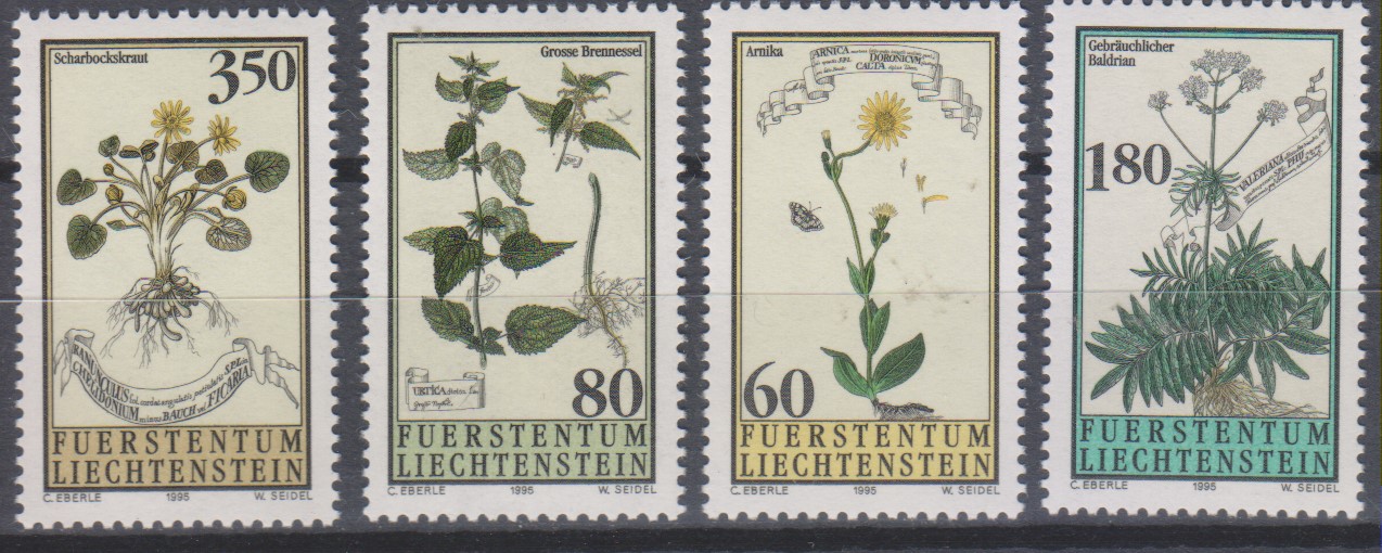 Numérisation_20220628 (83)