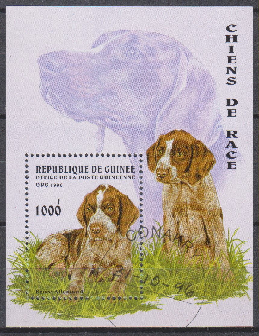 Numérisation_20220705 (26)