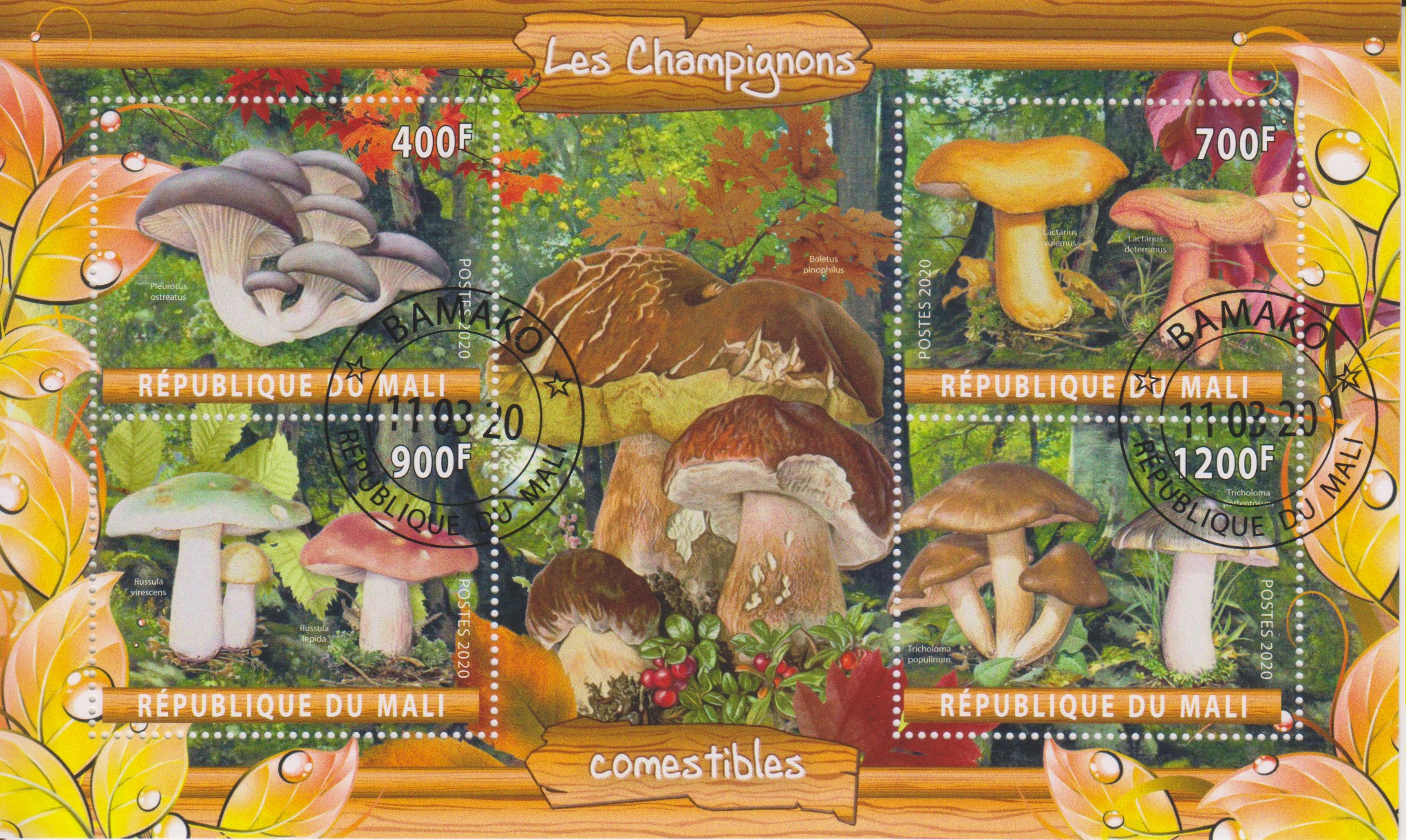 Numérisation_20220915 (2)