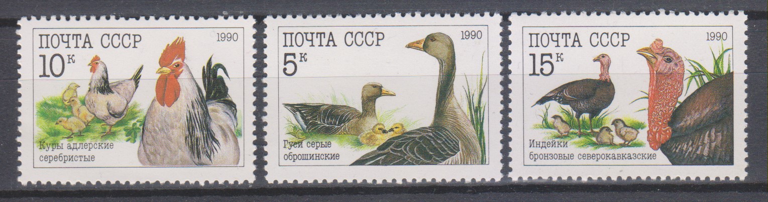 Numérisation_20220928 (19)