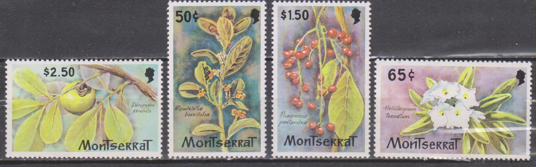 Numérisation_20221004 (113)