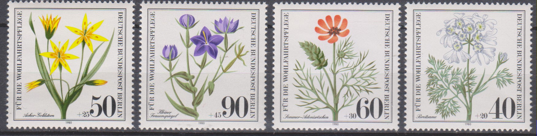 Numérisation_20221202 (49)