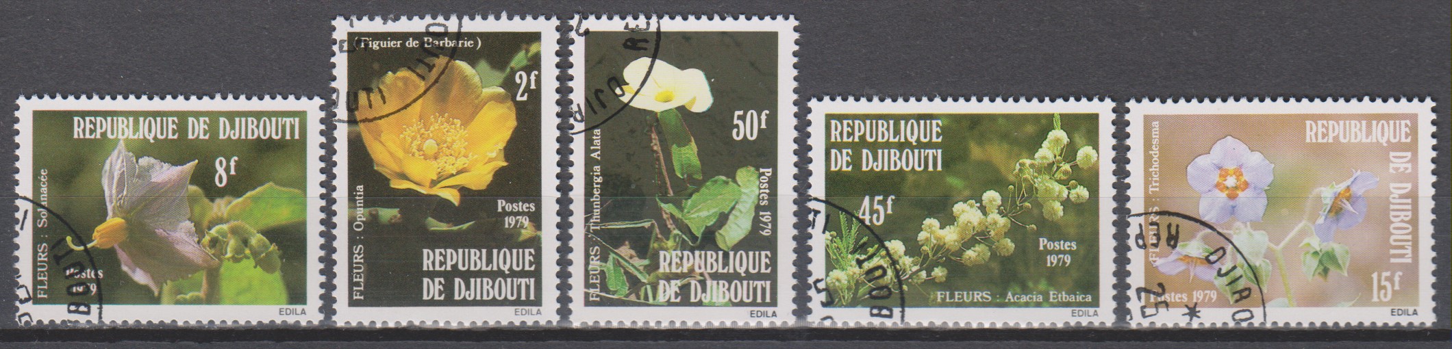Numérisation_20190325 (12)
