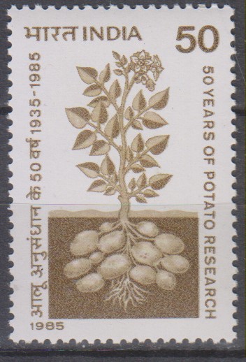 Numérisation_20230221 (109)