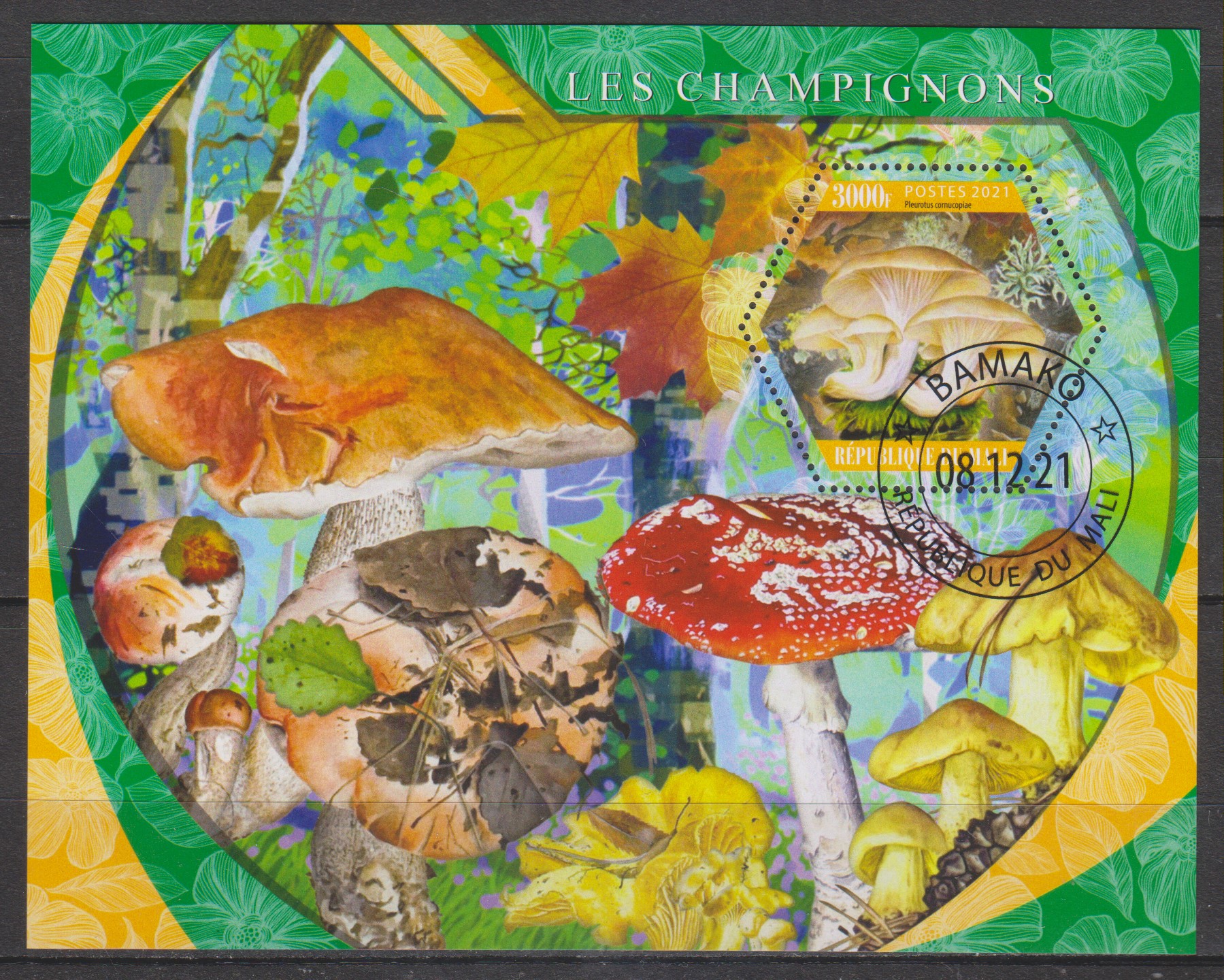 Numérisation_20230221 (138)