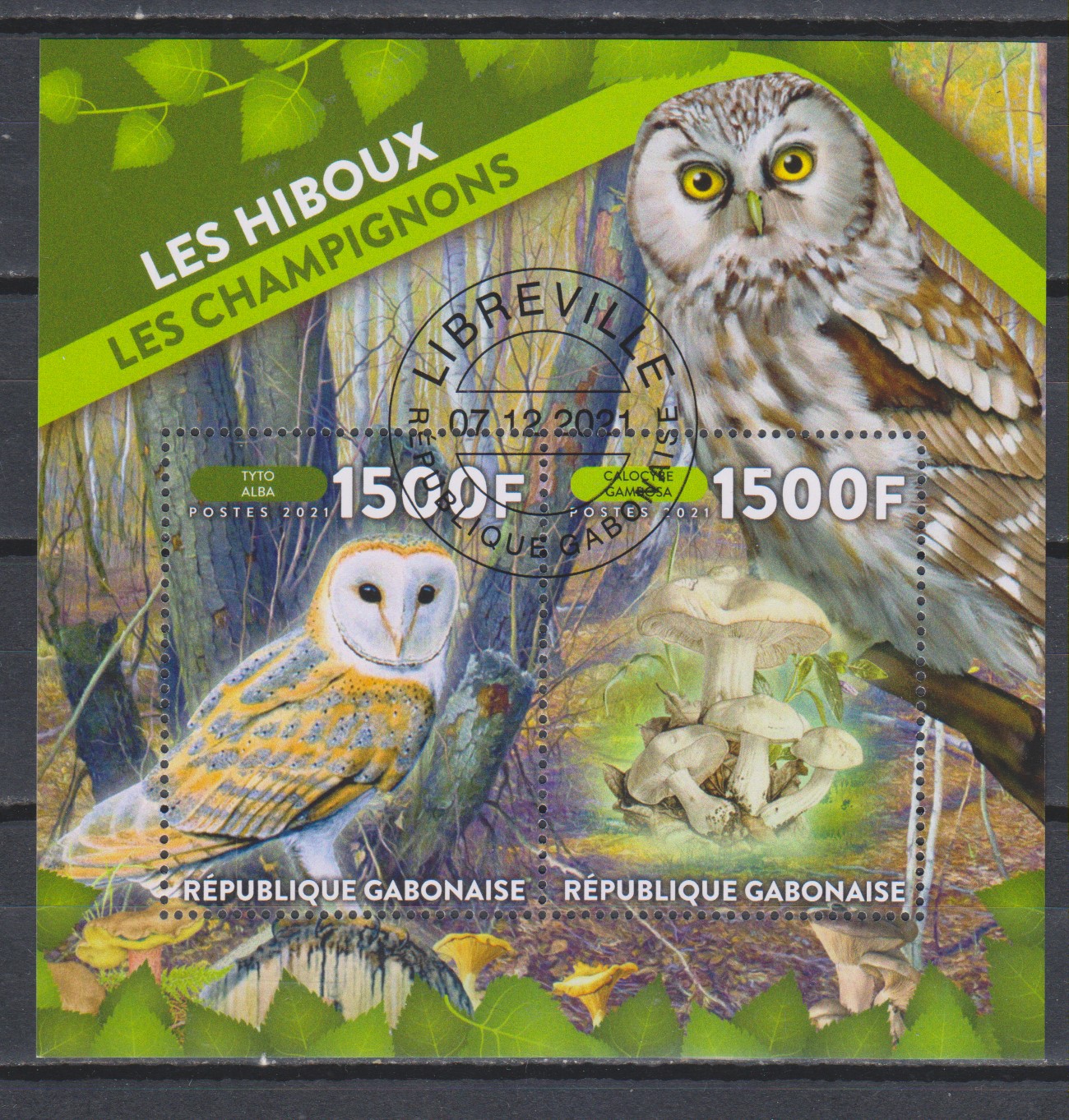 Numérisation_20230404 (8)