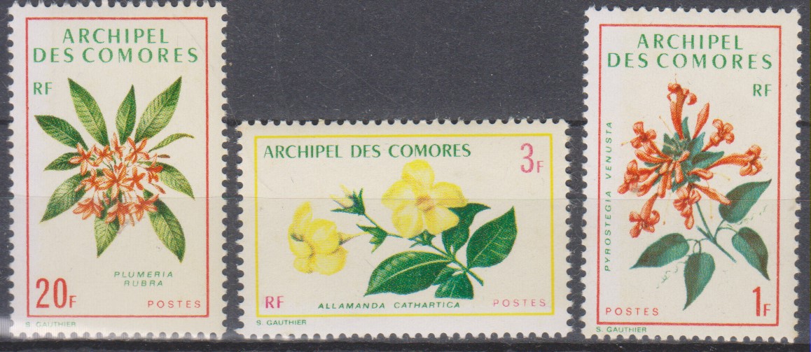 Numérisation_20230921 (115)