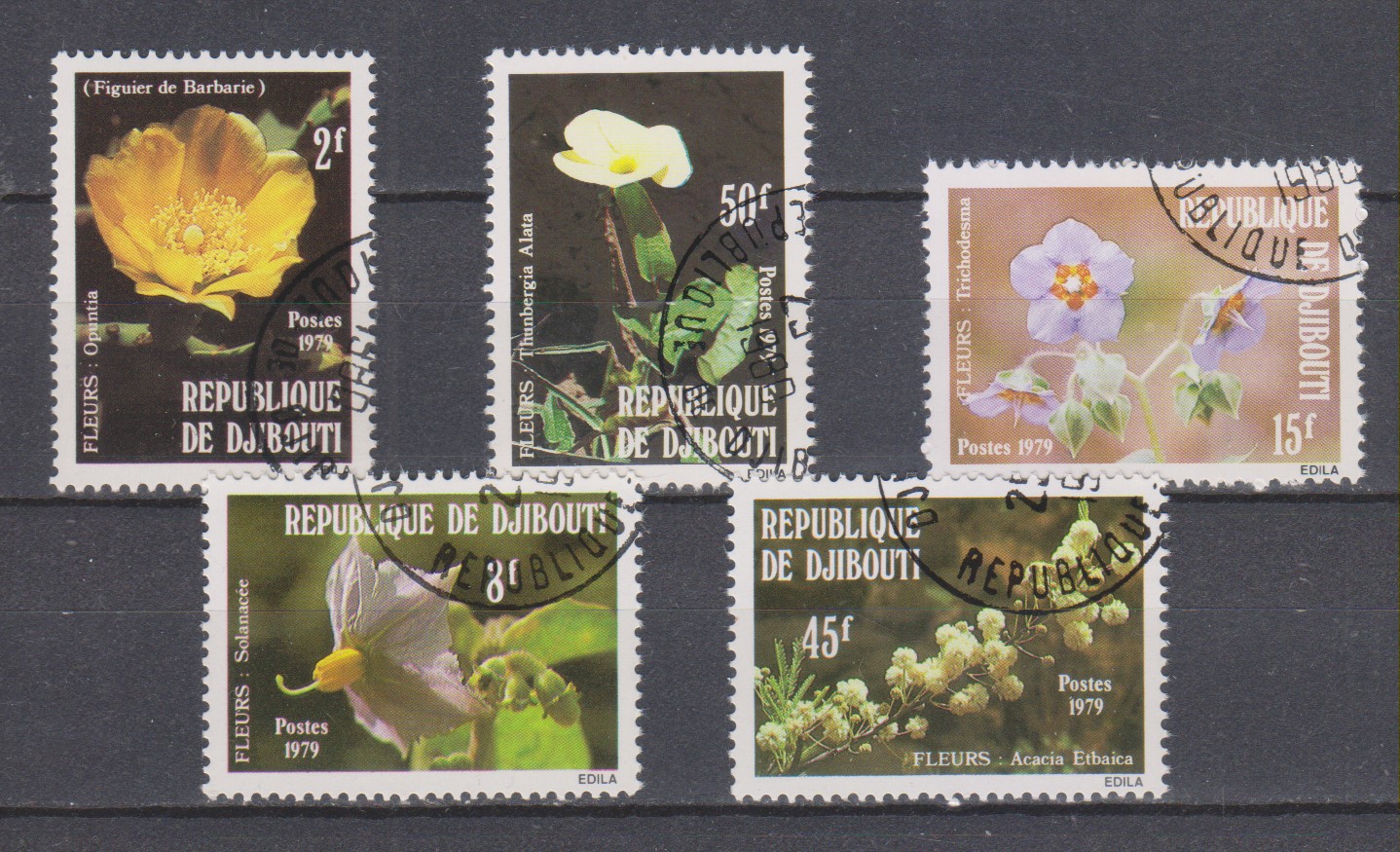 Numérisation_20231129 (10)