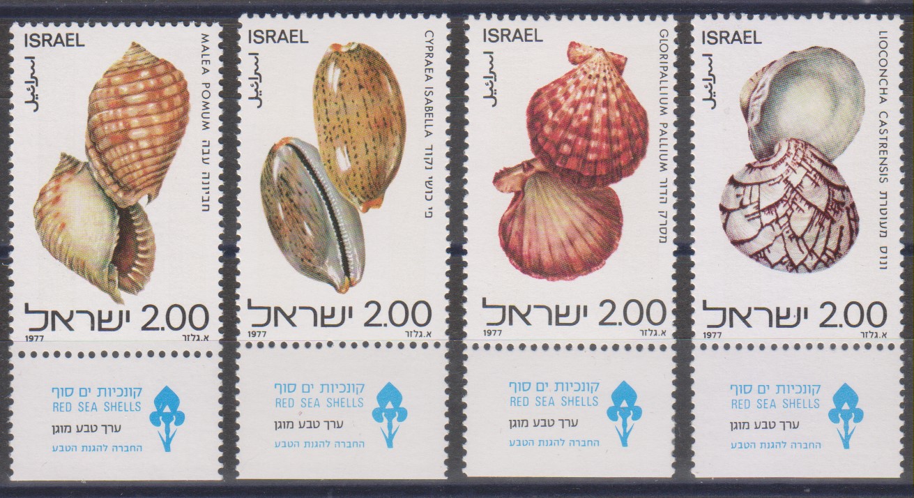 Numérisation_20240129 (112)